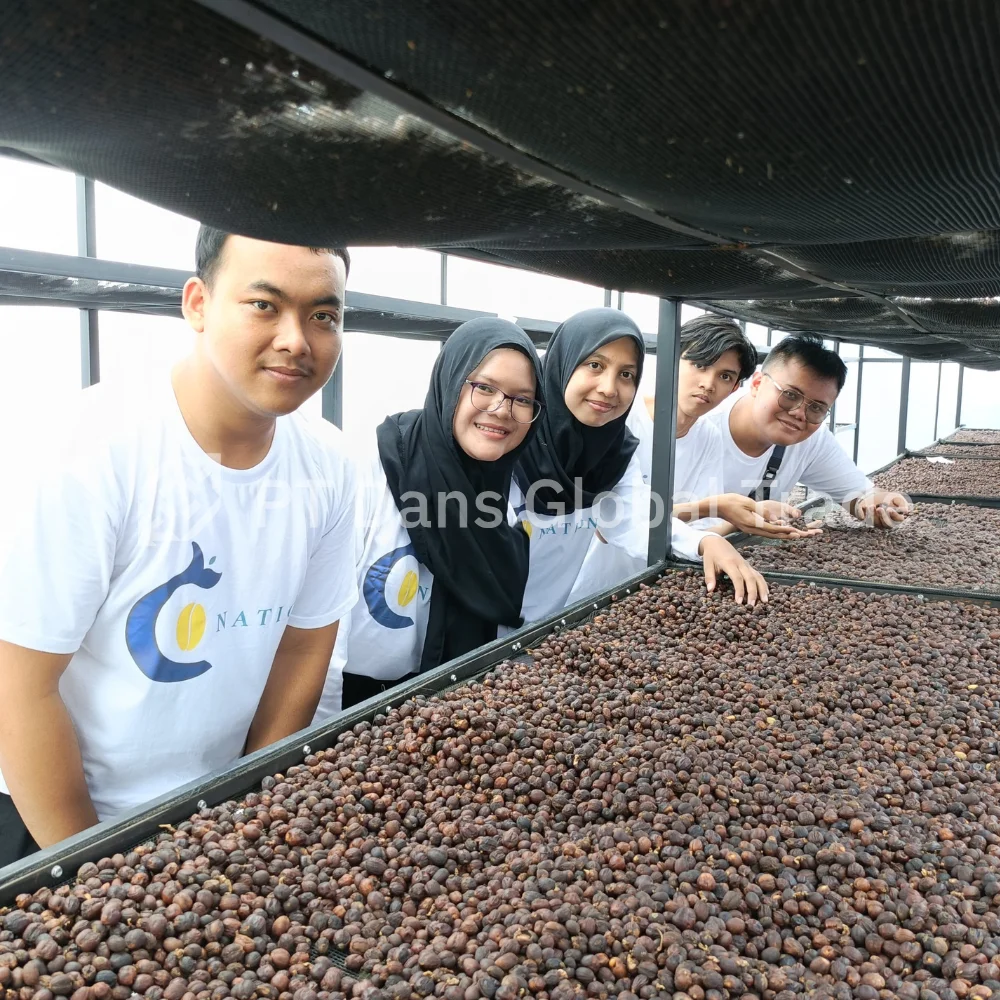 PT Dans Global Trade Operations Gallery Photo 11